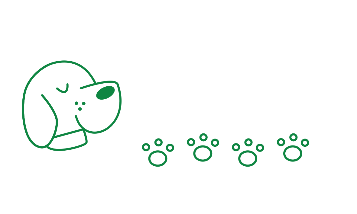 Chien