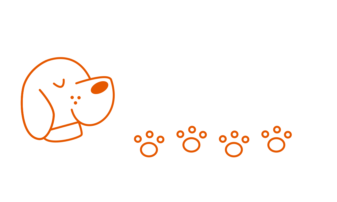 Chien