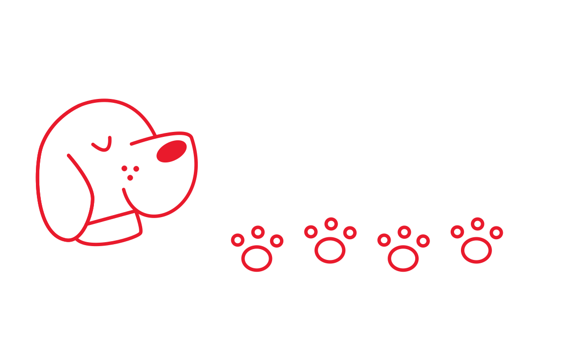 Chien